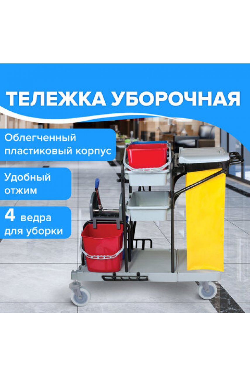 Тележка уборочная BRABIX, ведра 2х20 л, 2х11 л, механический отжим, держатель для мешка, мешок, 2 поддона