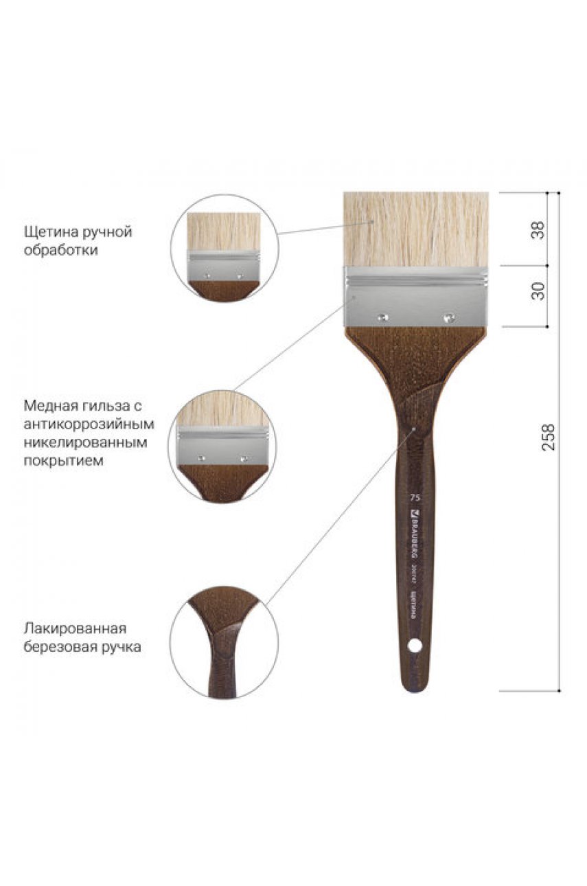 Кисть художественная профессиональная BRAUBERG , щетина, флейц, № 75, короткая ручка