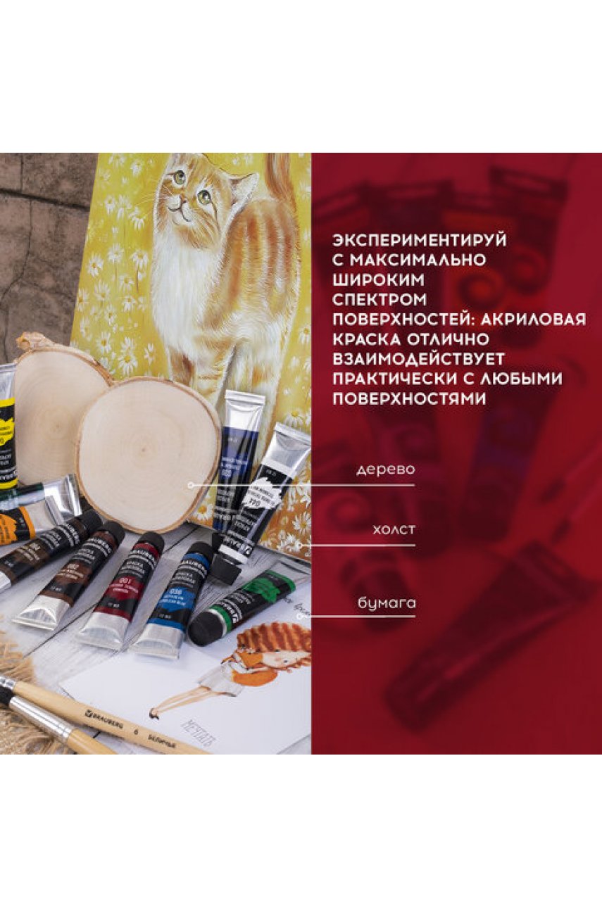 Краски акриловые художественные BRAUBERG , НАБОР 12 цветов по 12 мл, в тубах Краски акриловые художественные BRAUBERG , НАБОР 12 цветов по 12 мл, в тубах