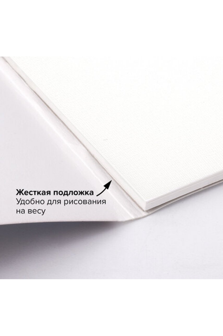 Папка для акварели/планшет, 300 г/м2, 270х390 мм, склейка, крупное зерно, 20 л. PREMIERE