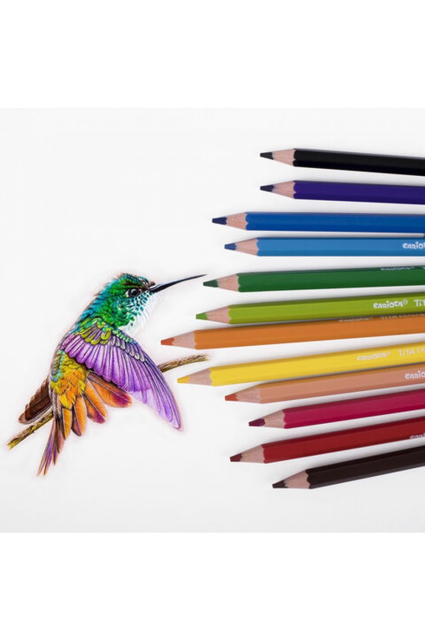 Карандаши цветные стираемые с резинкой CARIOCA "Erasable", 12 цветов, шестигранные, грифель 3 мм