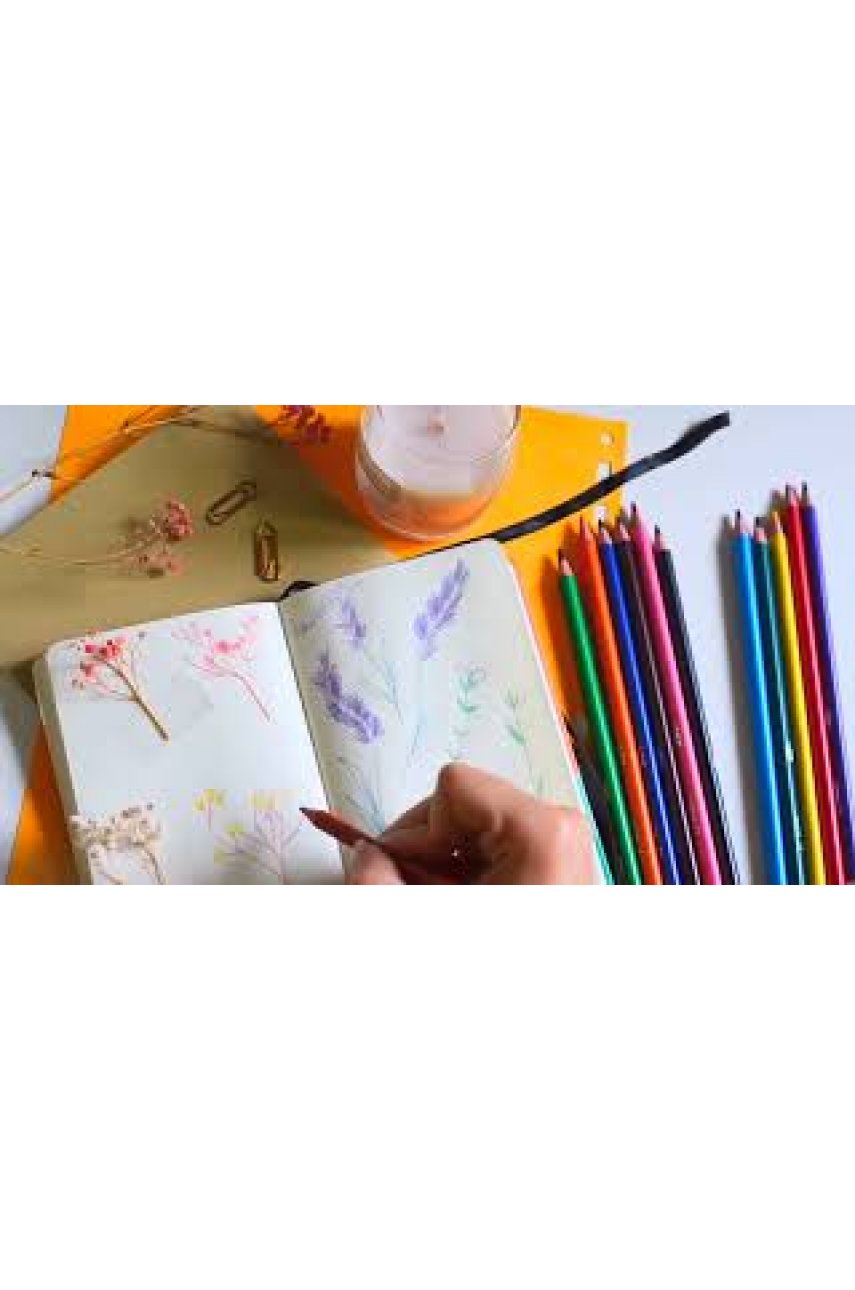 Карандаши цветные BIC 