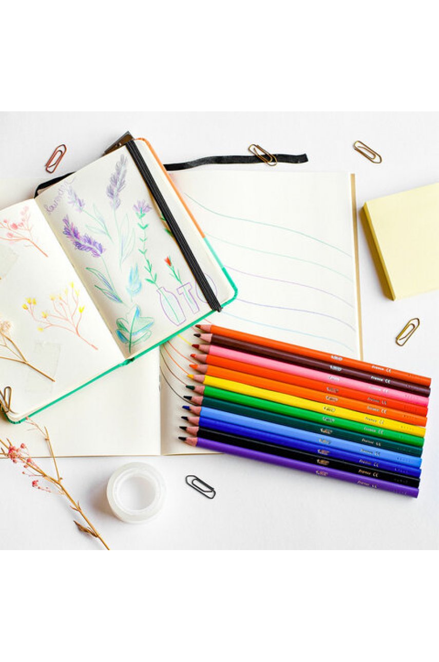 Карандаши цветные BIC 