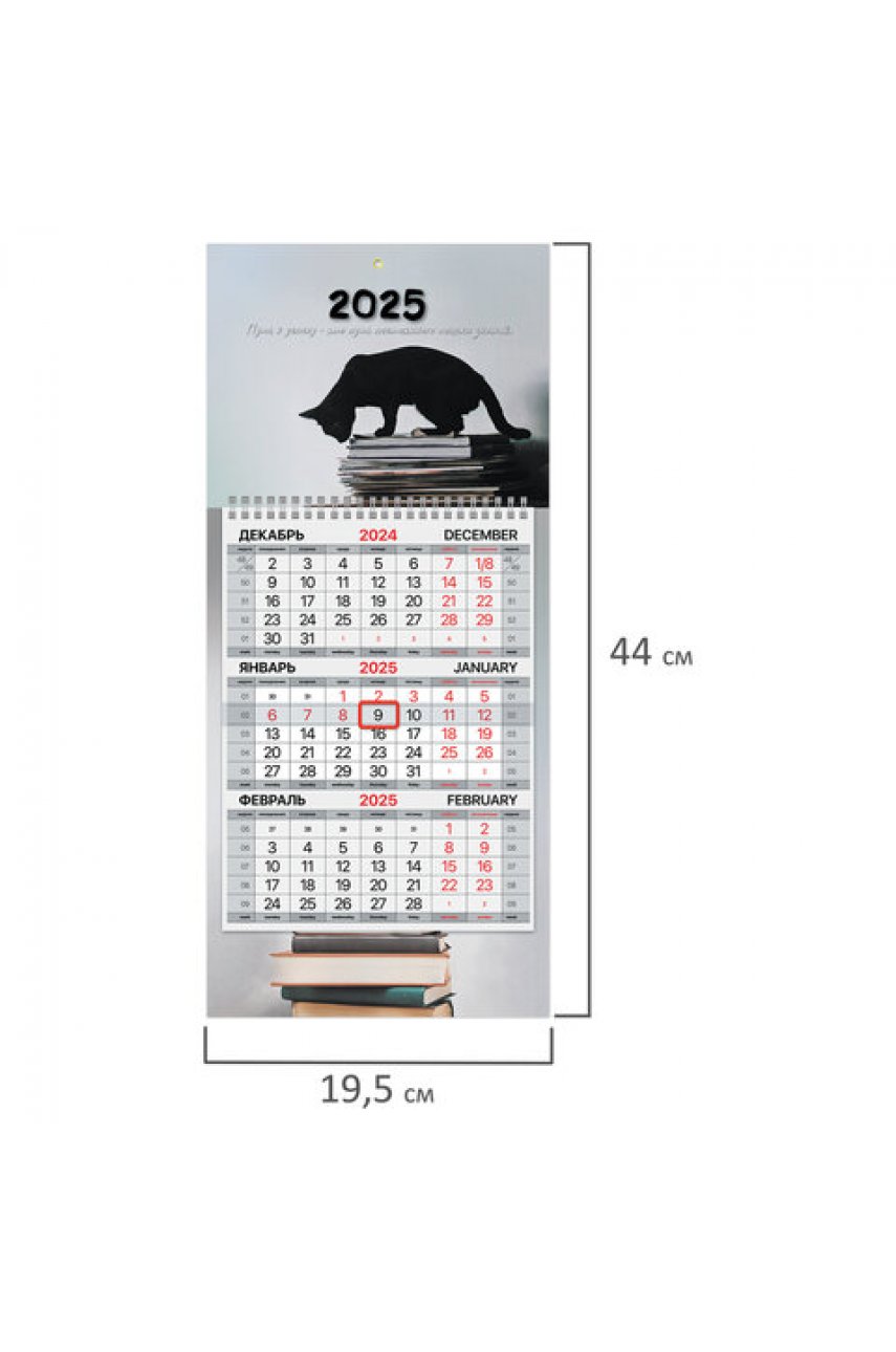 Календарь квартальный на 2025 г., 1 блок, 1 гребень, с бегунком, МИНИ, офсет, BRAUBERG, "Smart cat"