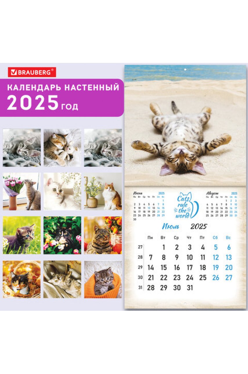 Календарь настенный перекидной на 2025 г., 12 листов, 29х29 см, 