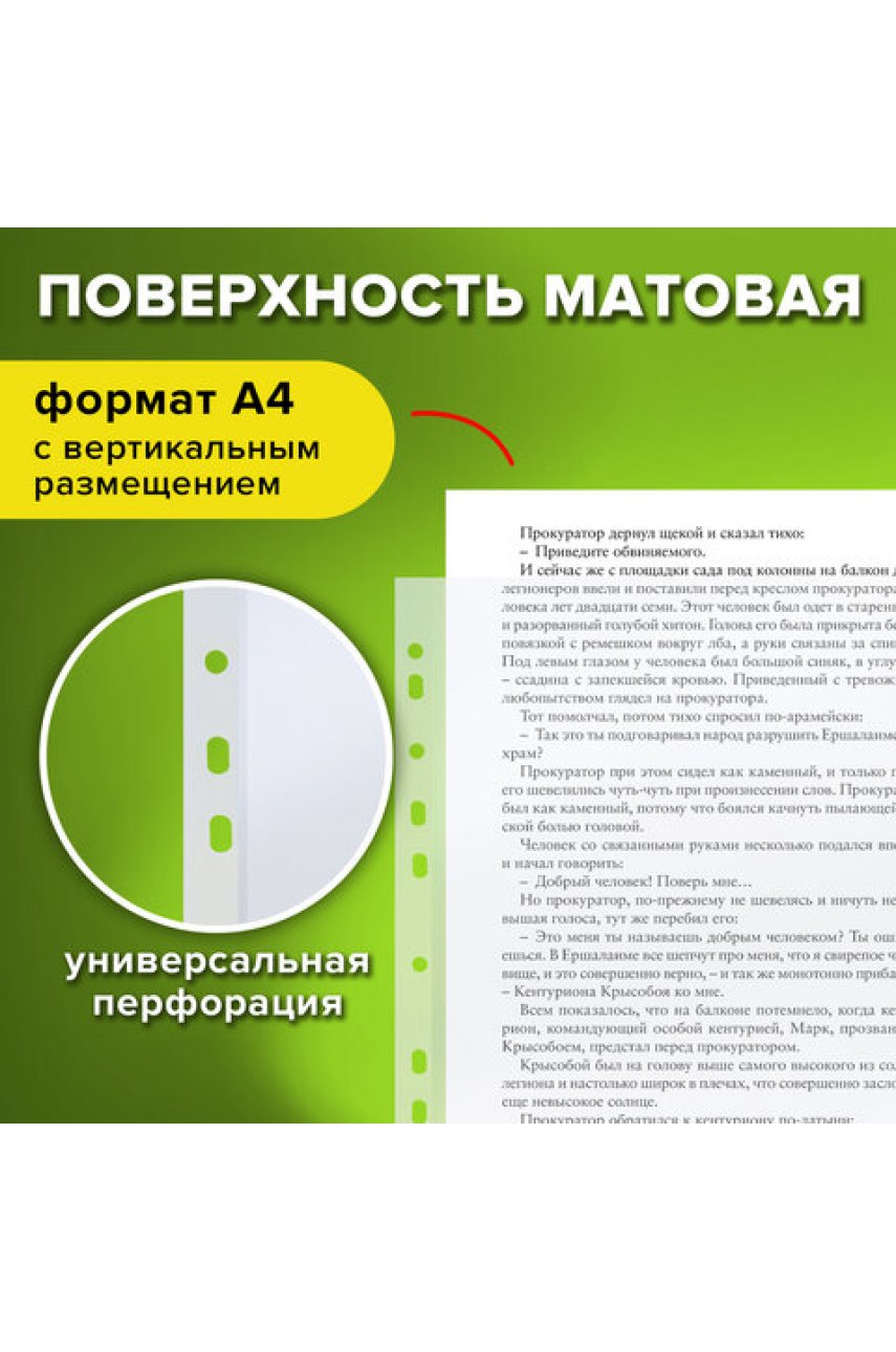 Папки-файлы перфорированные, А4 