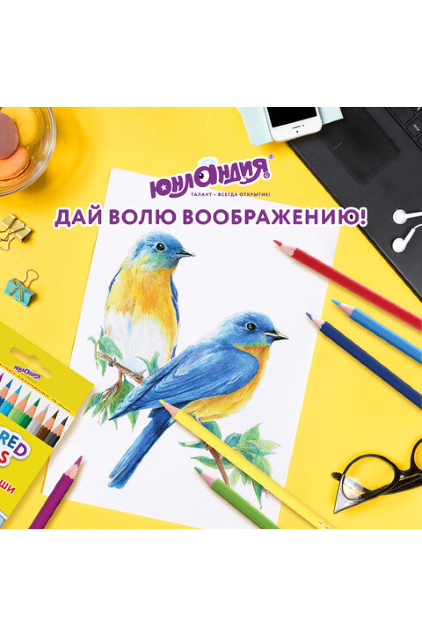 Карандаши цветные  