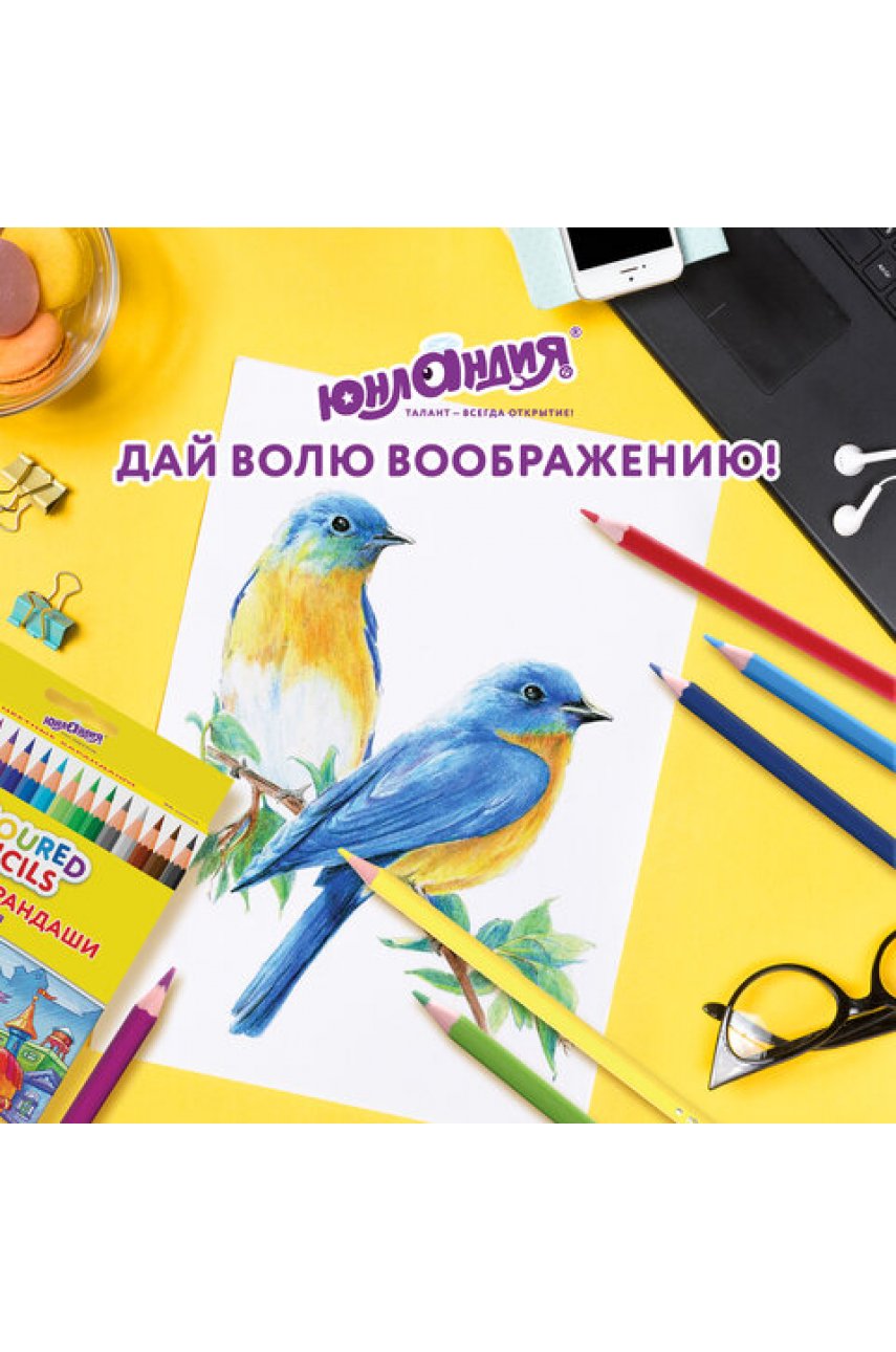 Карандаши цветные  