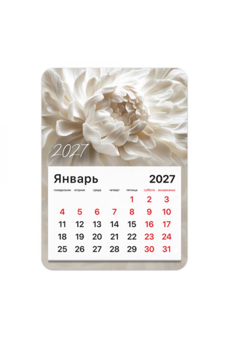 Календарь отрывной на магните на 2027 г., BRAUBERG, 130x180 мм, склейка, "Пион"