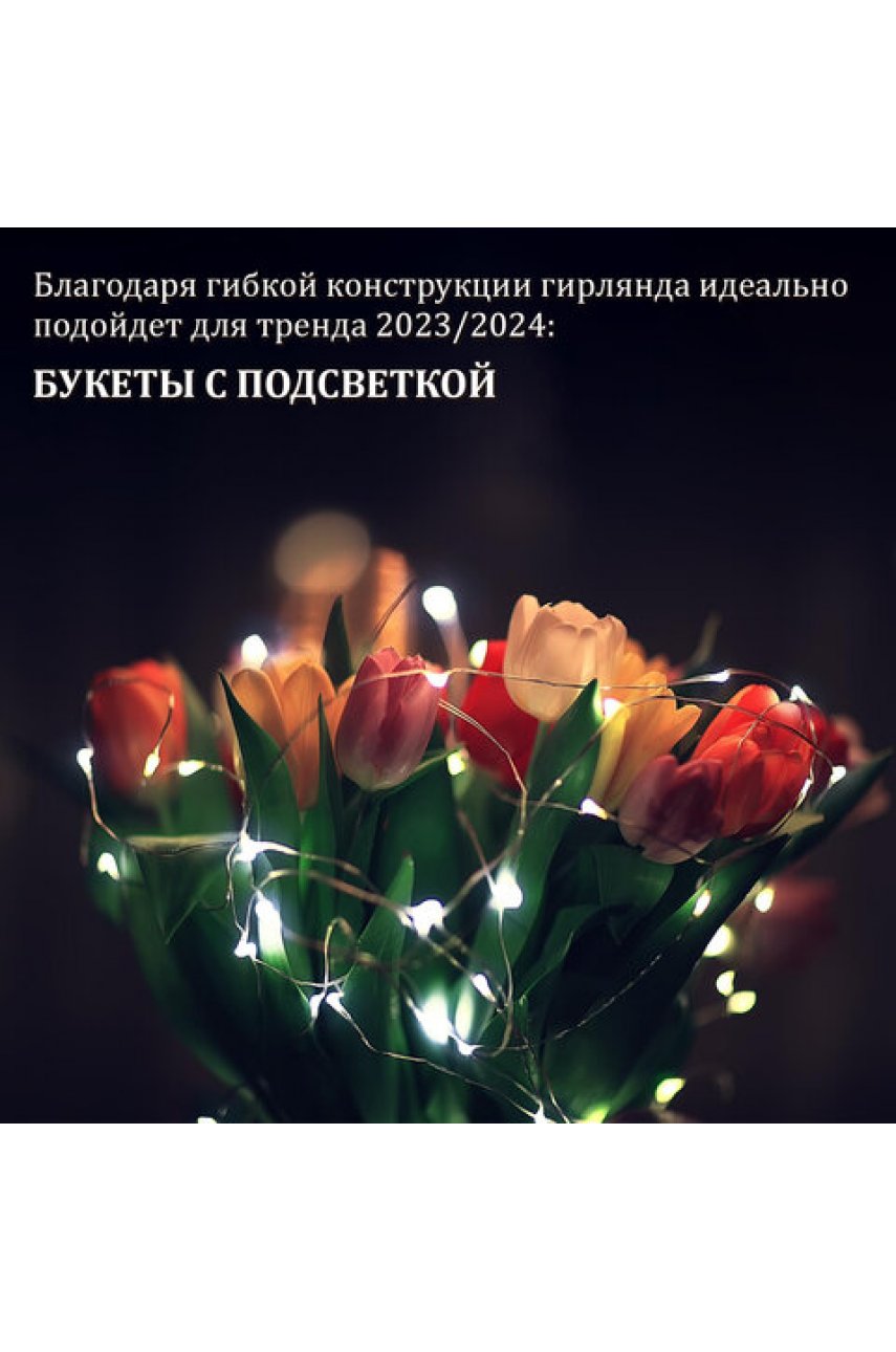 Электрогирлянда-нить комнатная 