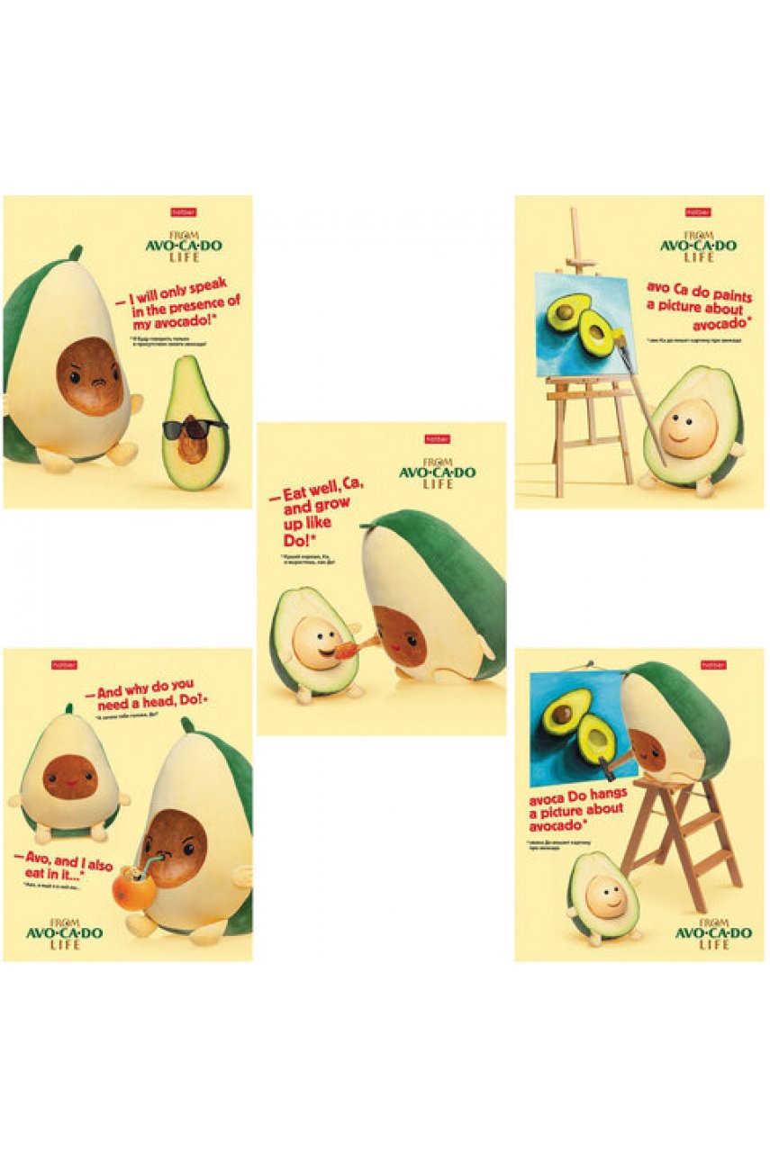 Тетрадь А5, 48 л., HATBER, скоба, клетка, обложка картон, AvoCaDo life (5 видов в спайке)