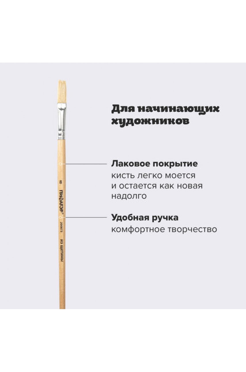 Кисть, ЩЕТИНА, плоская, № 8, деревянная лакированная ручка, пакет с подвесом Кисть, ЩЕТИНА, плоская, № 8, деревянная лакированная ручка, пакет с подвесом