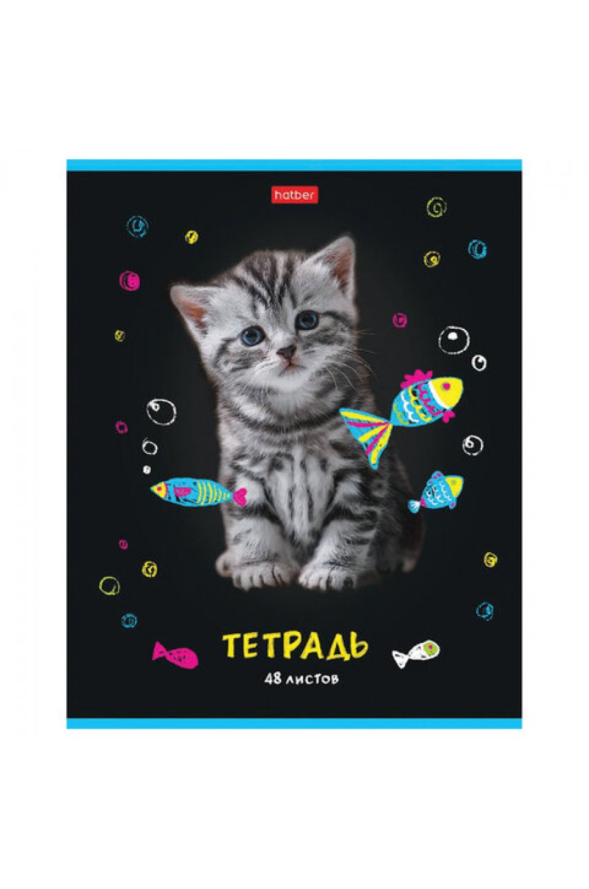 Тетрадь А5 48 л. HATBER скоба, клетка, глянцевая ламинация, 